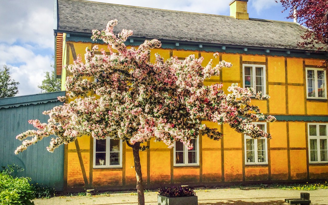 Taarbæk Ældreboliger bygget i 1978-29